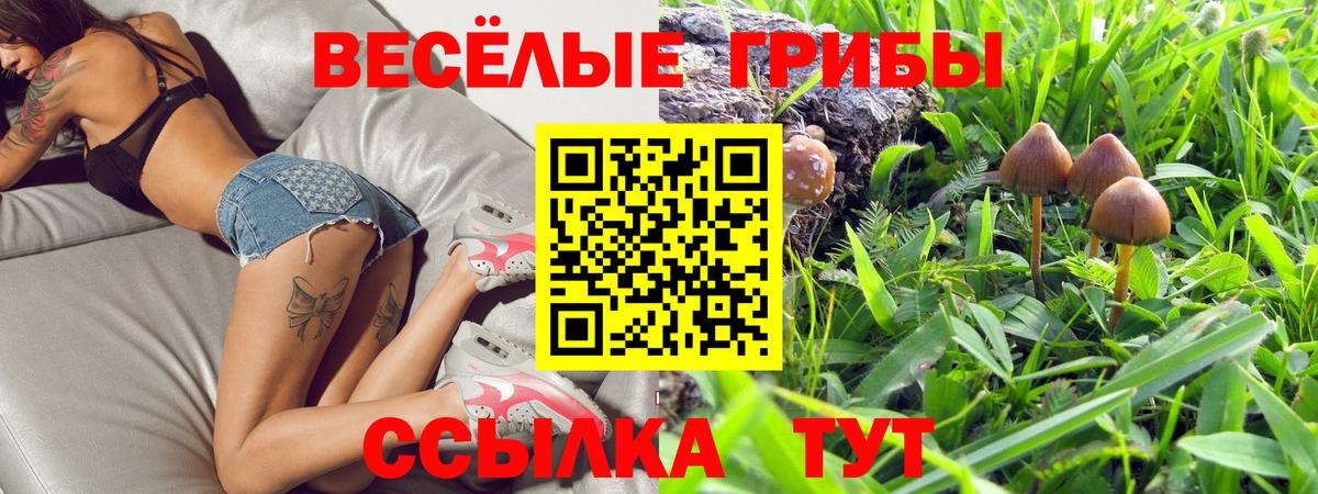 Минеральные Воды  Псилоцибиновые грибы мухоморы  Галлюциногенные грибы мухоморы  Вход с VPN 