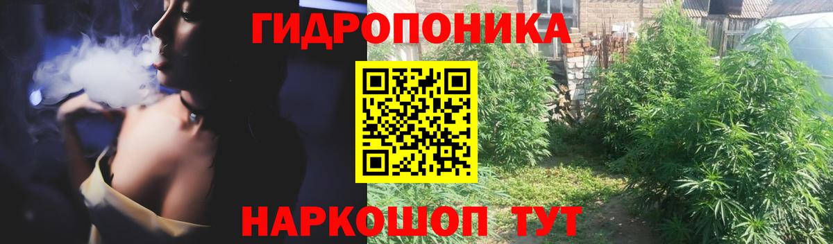Бошки Шишки марихуана  Бошки Шишки марихуана  Марихуана THC 21%  Вход с VPN  Конопля AK-47  Минеральные Воды 